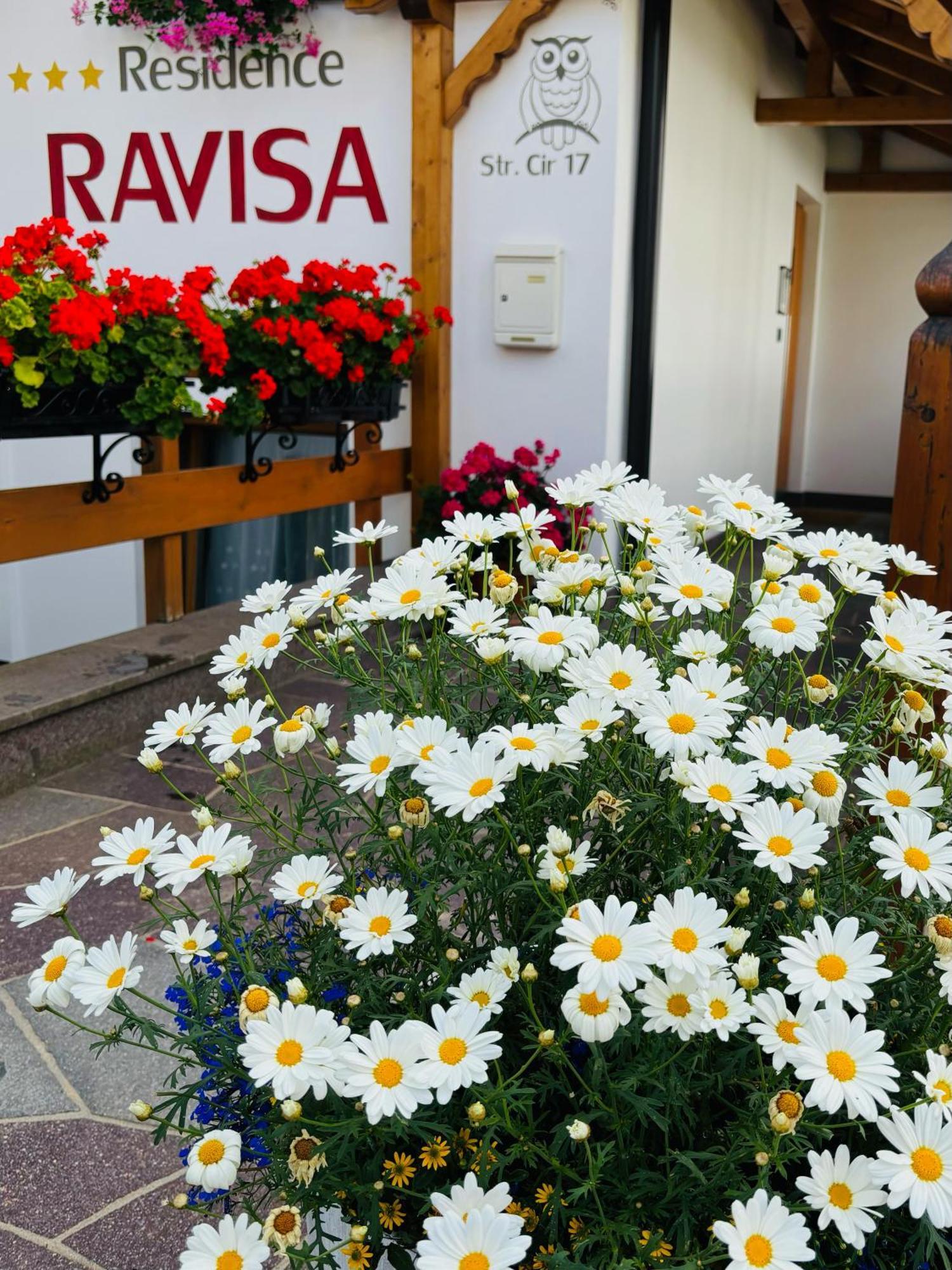 Residence Ravisa Dolomites Selva di Val Gardena Eksteriør bilde